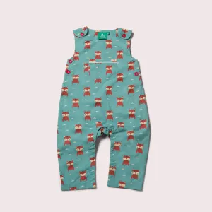 Foxes Explorer Dungarees