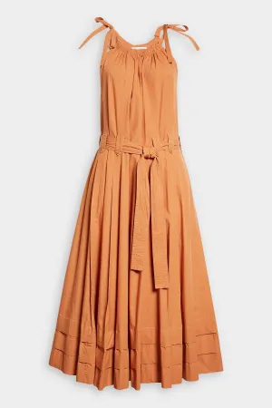 Joni Dress in Clay
