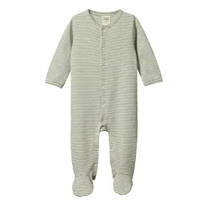 Stretch & Grow - Nettle Pinstripe