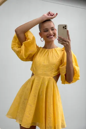 Valettia Dress
